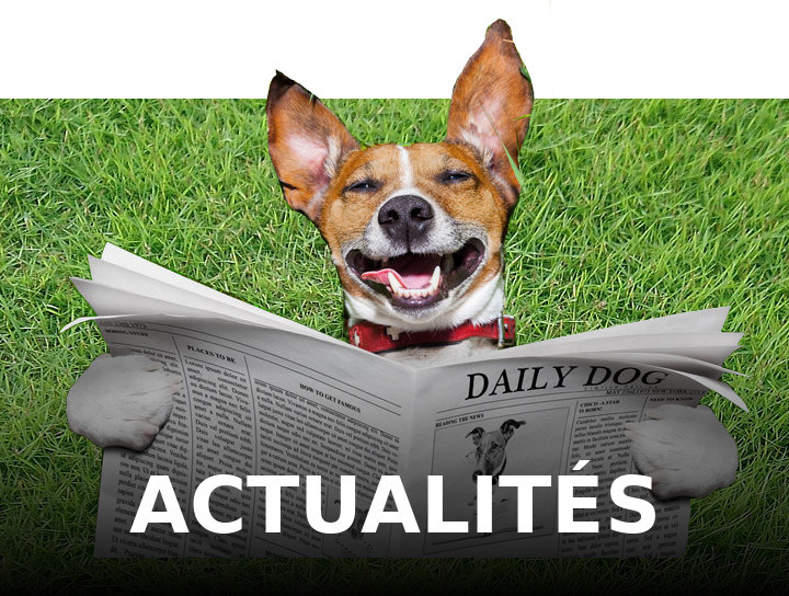 Actualites
